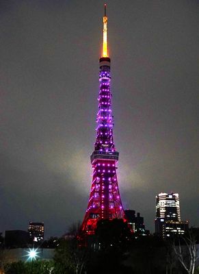 コブクロ、東京タワーと桜コラボ！