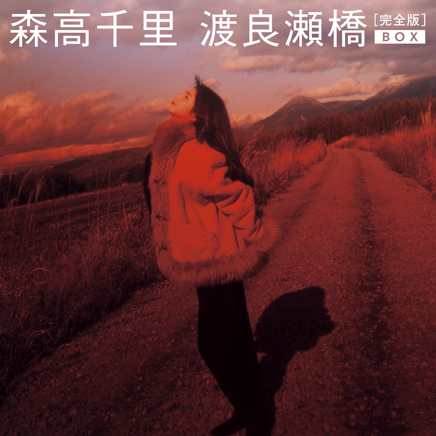 森高千里 「渡良瀬橋」発売25周年＆『「渡良瀬橋」完全版